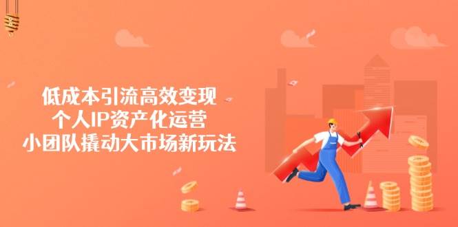 （14555期）低成本引流高效变现，个人IP资产化运营，小团队撬动大市场新玩法-赛德副业库