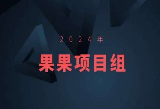 2024年果果项目组项目合集-果果最新项目-赛德副业库
