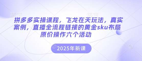 拼多多实操课程,飞龙在天玩法,真实案例,直播全流程链接的黄金sku布局原价操作六个活动-赛德副业库