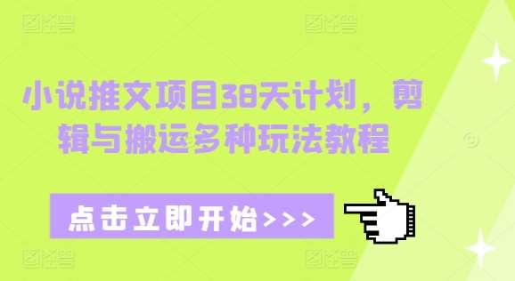 小说推文项目38天计划，剪辑与搬运多种玩法教程-赛德副业库