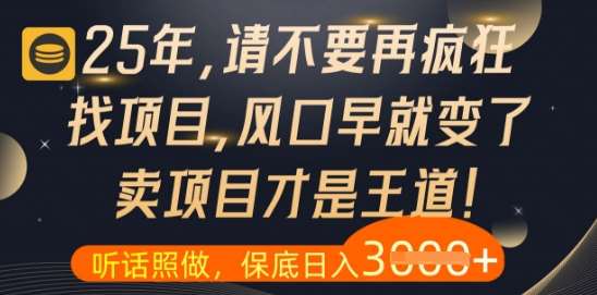 什么?25年你还在疯狂找项目做,醒醒吧,看完这些你全都懂了【揭秘】-赛德副业库