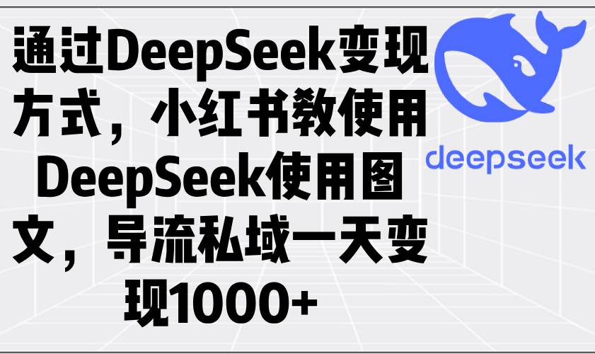 （14179期）通过DeepSeek变现方式，小红书教使用DeepSeek图文，导流私域一天变现1000+-赛德副业库