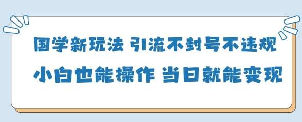 国学新玩法，引流不封号不违规小白也能操作，当日就能变现-赛德副业库