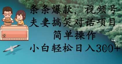 条条爆款,视频号夫妻搞笑对话项目,简单操作,小白轻松日入3张+-赛德副业库