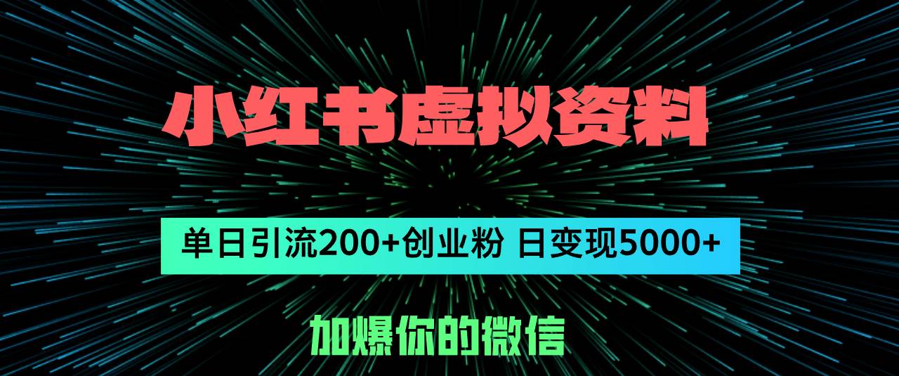 （12164期）小红书虚拟资料日引流200+创业粉，单日变现5000+-赛德副业库