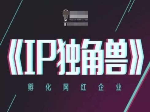 IP独角兽，孵化网红企业，ip教程-赛德副业库