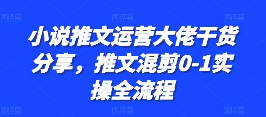 小说推文运营大佬干货分享，推文混剪0-1实操全流程-赛德副业库