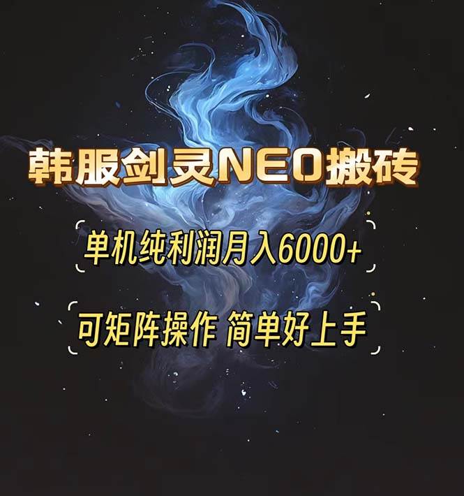 （13435期）韩服剑灵NEO搬砖攻略，单机纯利润月入6000+ 可矩阵操作，简单好上手。-赛德副业库