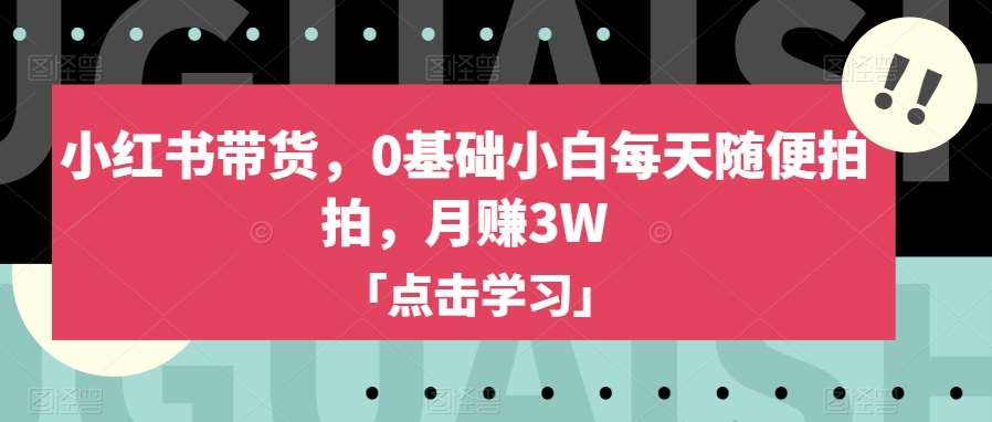 小红书带货,0基础小白每天随便拍拍,月赚3W【揭秘】-赛德副业库