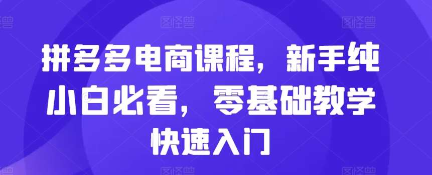 拼多多电商课程，新手纯小白必看，零基础教学快速入门-赛德副业库