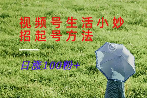 视频号生活小妙招分享赛道， 起号涨粉新方法，日涨100粉-赛德副业库