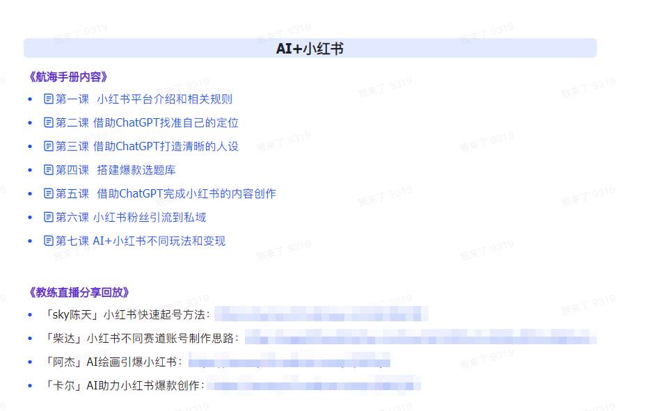 图片[3]-AI破局手册+教练分享合集：AI提示词/AI+小红书 /AI+公众号/AI+绘画/AI编程-赛德副业库