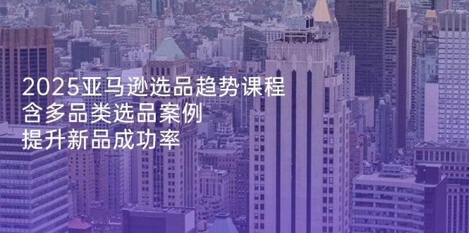 （14434期）2025亚马逊选品趋势课程，含多品类选品案例，提升新品成功率-赛德副业库