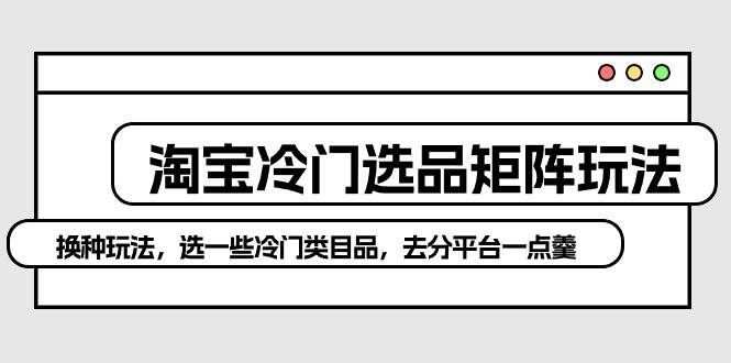 （10159期）淘宝冷门选品矩阵玩法：换种玩法，选一些冷门类目品，去分平台一点羹-赛德副业库