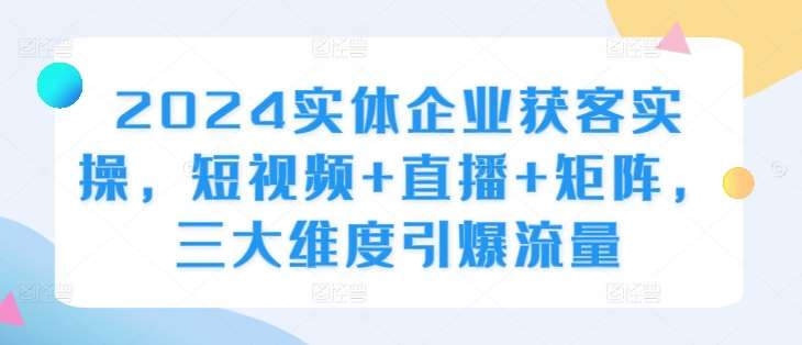 2024实体企业获客实操,短视频+直播+矩阵,三大维度引爆流量-赛德副业库