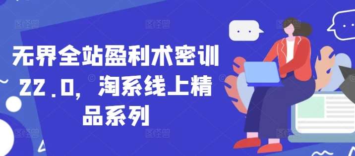 无界全站盈利术密训22.0,淘系线上精品系列-赛德副业库