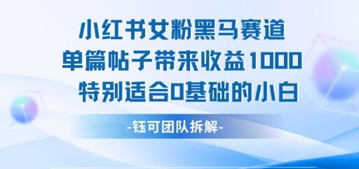 小红书女粉黑马赛道单篇帖子带来收益1k+,特别适合0基础的小白-赛德副业库