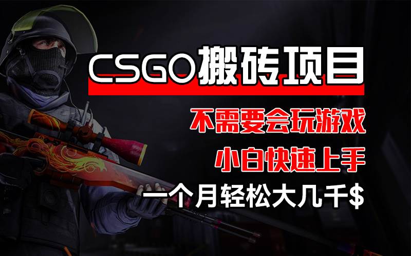 （12332期）CSGO 装备搬砖项目，操作简单，不需要会玩游戏，小白也能快速上手，一…-赛德副业库
