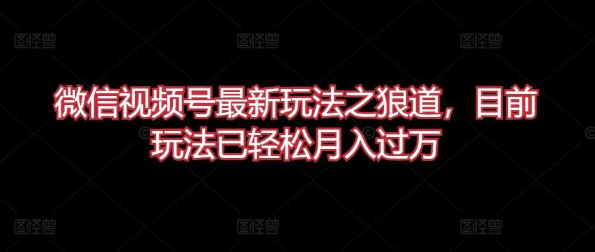 微信视频号最新玩法之狼道，目前玩法已轻松月入过万【揭秘】-赛德副业库