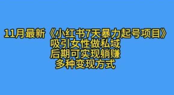 K总部落11月最新小红书7天暴力起号项目，吸引女性做私域【揭秘】-赛德副业库