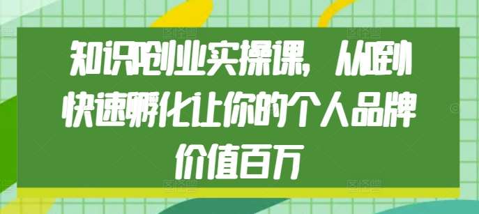 知识IP创业实操课，从0到1快速孵化让你的个人品牌价值百万-赛德副业库