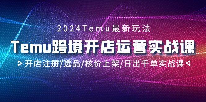 (9208期)2024Temu跨境开店运营实战课,开店注册/选品/核价上架/日出千单实战课-赛德副业库