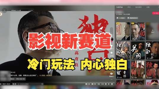 最新影视解说玩法，人物独白，30天涨粉24万+，全流程拆解【揭秘】-赛德副业库