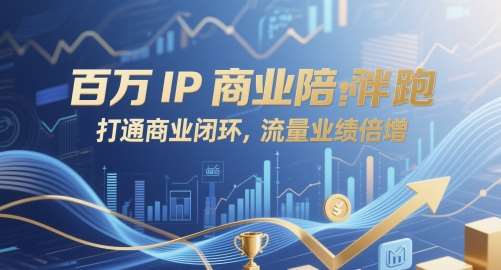 百万IP商业陪跑，打通商业闭环，流量业绩倍增-赛德副业库