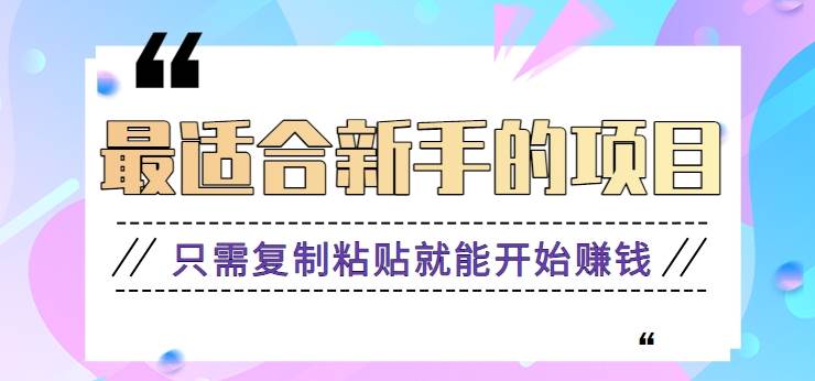 2024最适合新手操作的项目，新手小白只需复制粘贴就能开始赚钱【视频教程+软件】-赛德副业库