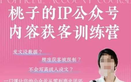 桃子IP公众号内容获客训练营(第3期)，一门让你公众号从0到商业闭环的课程-赛德副业库