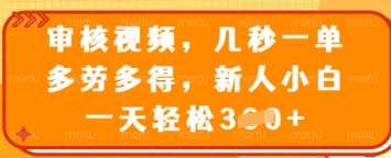 审核视频，几秒一单，多劳多得，新人小白一天轻松3张【揭秘】-赛德副业库