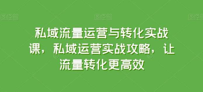 私域流量运营与转化实战课,私域运营实战攻略,让流量转化更高效-赛德副业库