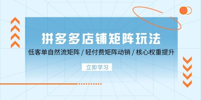 （12720期）拼多多店铺矩阵玩法：低客单自然流矩阵 / 轻付费矩阵 动销 / 核心权重提升-赛德副业库