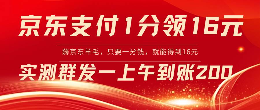 （8678期）京东支付1分得16元实操到账200-赛德副业库
