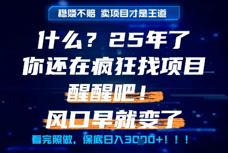 什么?25年你还在疯狂找项目做,醒醒吧,看完这些你全都懂了!【揭秘】-赛德副业库