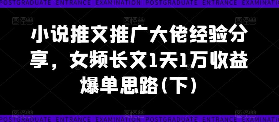 小说推文推广大佬经验分享，女频长文1天1万收益爆单思路(下)-赛德副业库