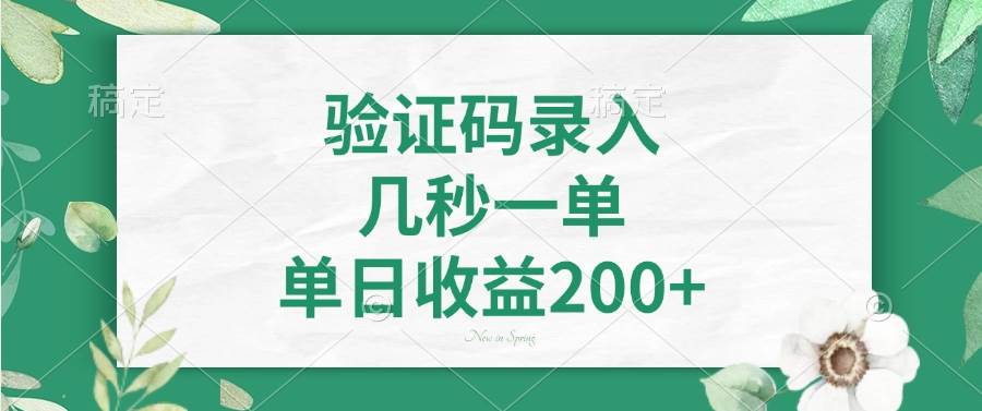 (14221期)验证码录入,几秒一单,单日收益200+-赛德副业库