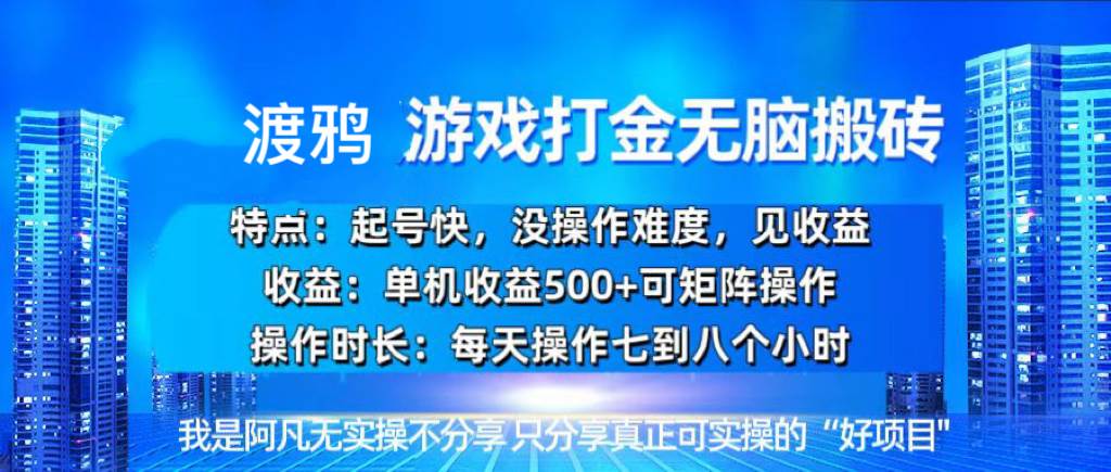（13501期）韩国知名游戏打金无脑搬砖单机收益500+-赛德副业库