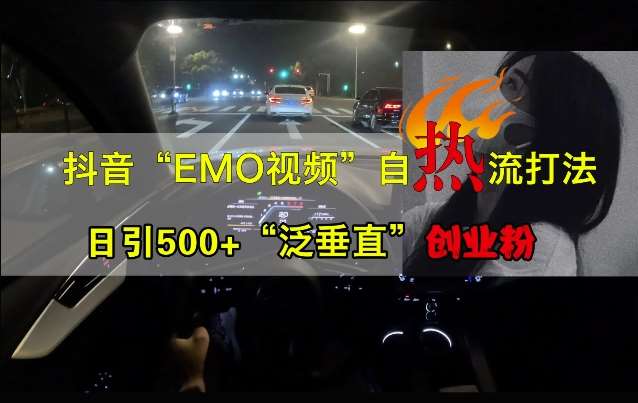抖音EMO视频自热打法，日引500+“泛垂直”创业粉-赛德副业库