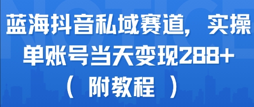 蓝海抖音私域赛道,实操单账号当天变现288+(附教程)-赛德副业库