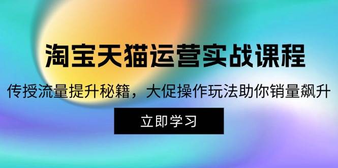 （12959期）淘宝&天猫运营实战课程，传授流量提升秘籍，大促操作玩法助你销量飙升-赛德副业库