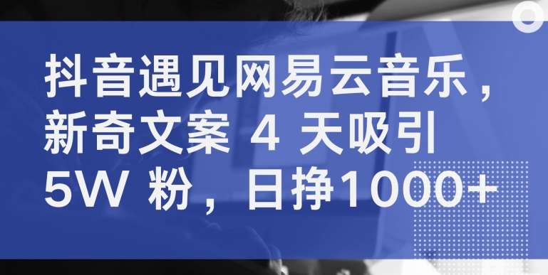 抖音遇见网易云音乐,新奇文案 4 天吸引 5W 粉,日挣1000+【揭秘】-赛德副业库