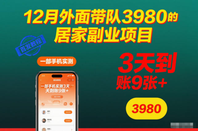 12月外面带队3980的居家副业项目，一部手机实测3天到账9张+，首发教程【揭秘】-赛德副业库