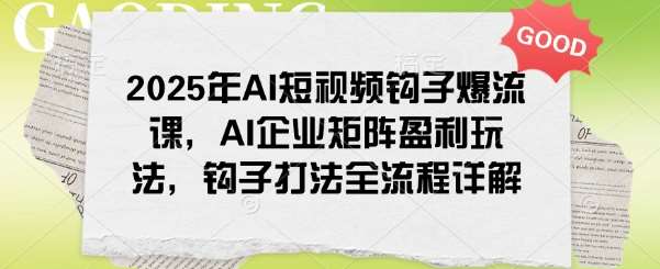2025年AI短视频钩子爆流课，AI企业矩阵盈利玩法，钩子打法全流程详解-赛德副业库