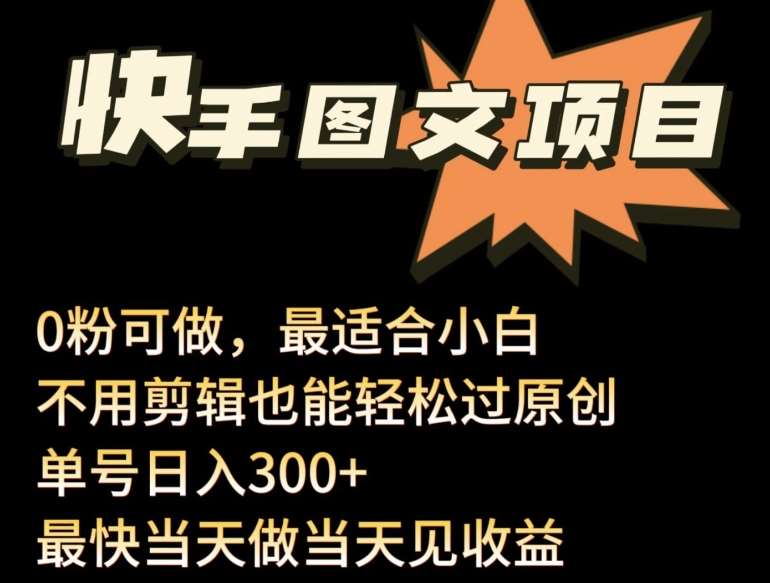 24年最新快手图文带货项目，零粉可做，不用剪辑轻松过原创单号轻松日入300+【揭秘】-赛德副业库