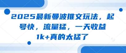 2025最新曼波推文玩法，起号快，流量猛，一天收益1k+真的太猛了-赛德副业库