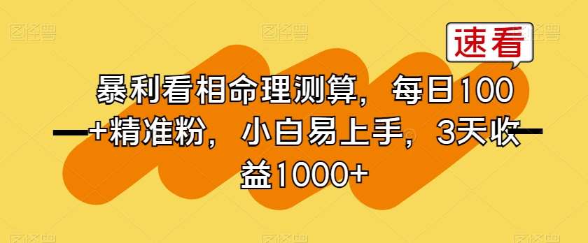 暴利看相命理测算，每日100+精准粉，小白易上手，3天收益1000+【揭秘】-赛德副业库