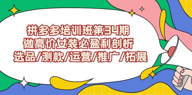 （9333期）拼多多培训班第34期：做高价女装必盈利剖析  选品/测款/运营/推广/拓展-赛德副业库