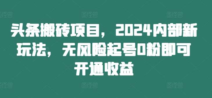 头条搬砖项目，2024内部新玩法，无风险起号0粉即可开通收益-赛德副业库