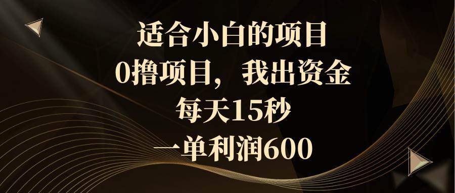 （8571期）适合小白的项目，0撸项目，我出资金，每天15秒，一单利润600-赛德副业库